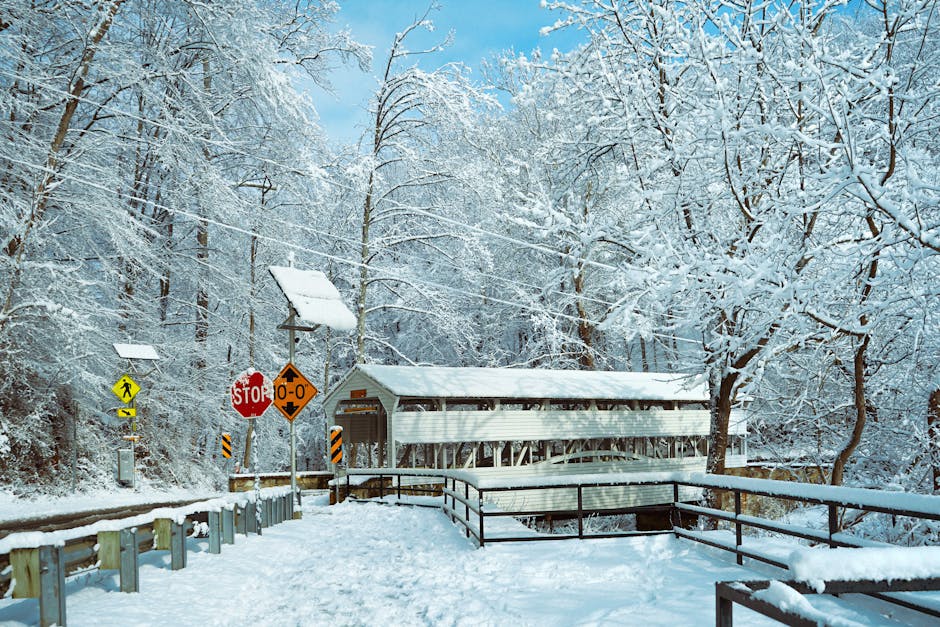 IT 外判：提升效率與競爭力的理性選擇